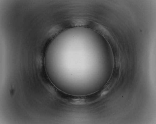 X0000088390362200705221119