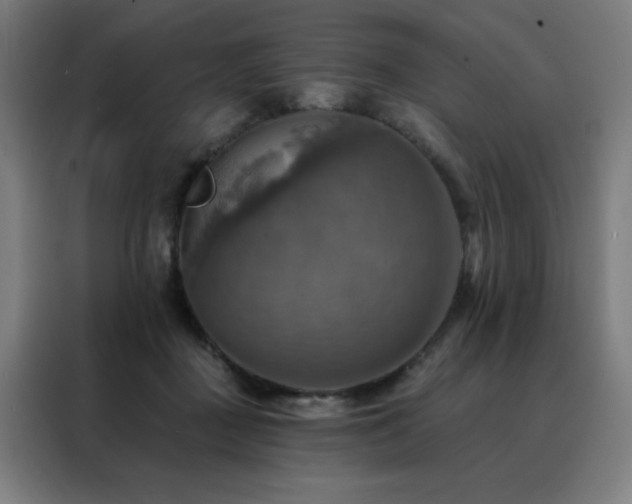 X0000088390363200705221119