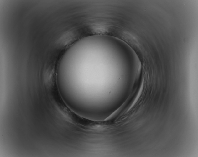 X0000088390364200705221119