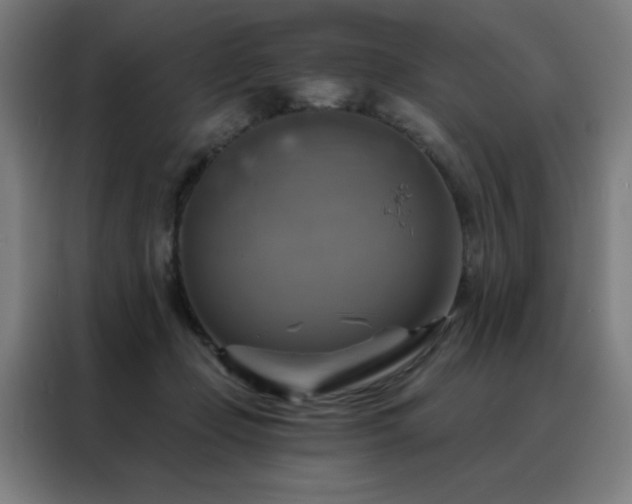 X0000088390365200705221119