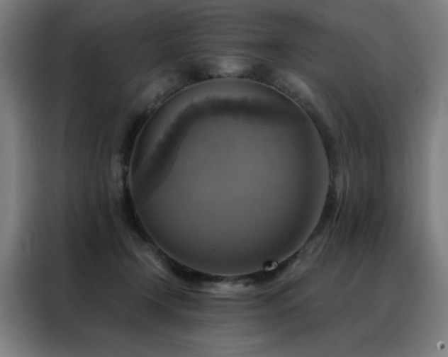 X0000088390366200705221119