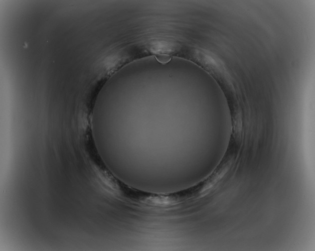 X0000088390367200705221119