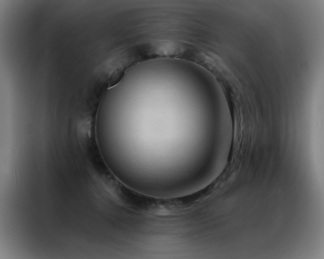 X0000088390368200705221119