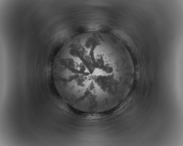 X0000088390369200705221119