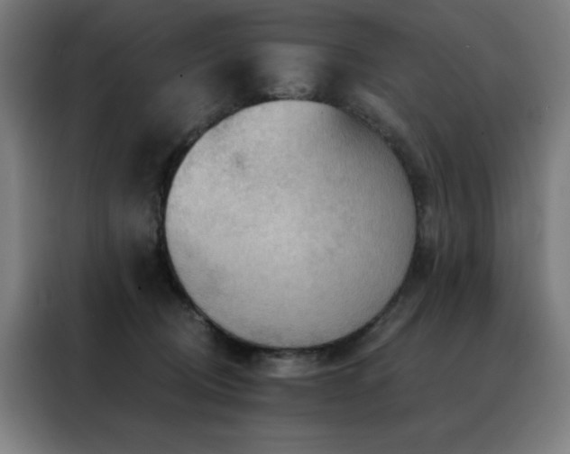 X0000088390370200705221119