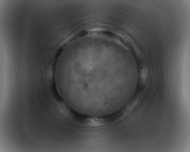 X0000088390372200705221119