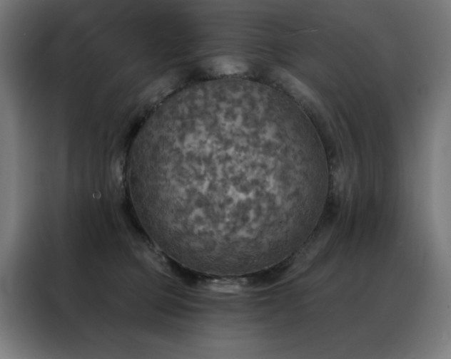 X0000088390373200705221119