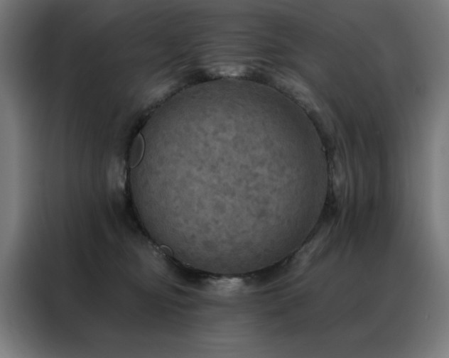 X0000088390374200705221119