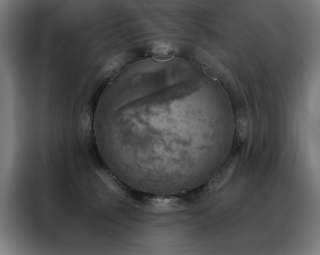 X0000088390375200705221119