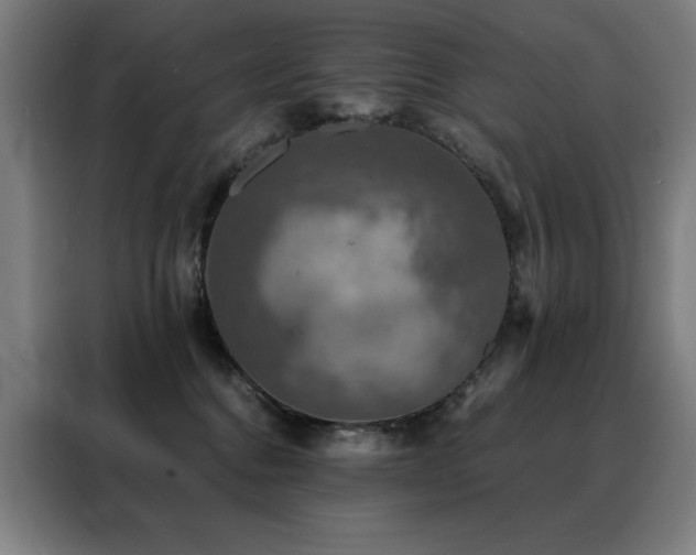 X0000088390376200705221119