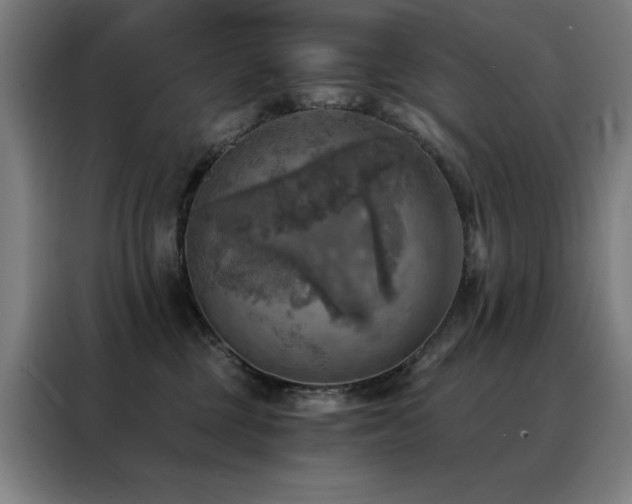 X0000088390377200705221119