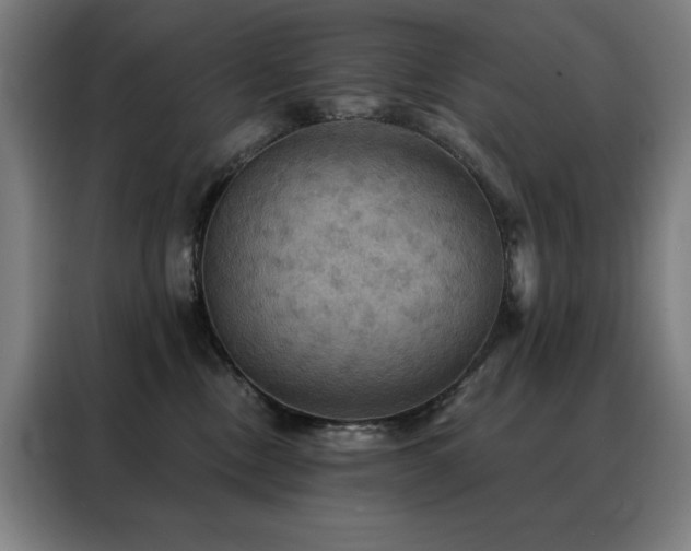 X0000088390378200705221119