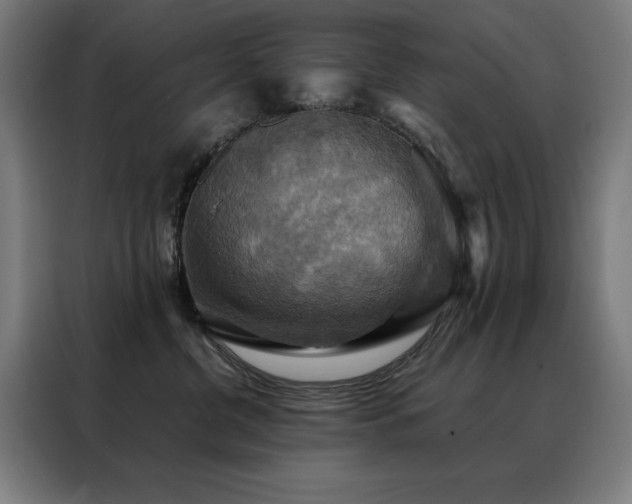 X0000088390380200705221119