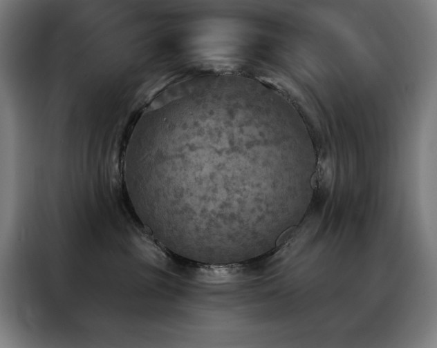 X0000088390381200705221119