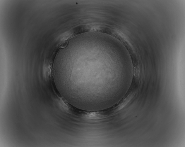 X0000088390382200705221119