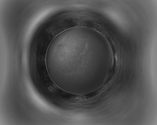 X0000088390383200705221119