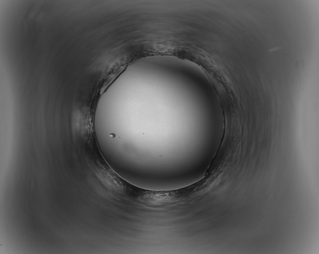 X0000088390384200705221119