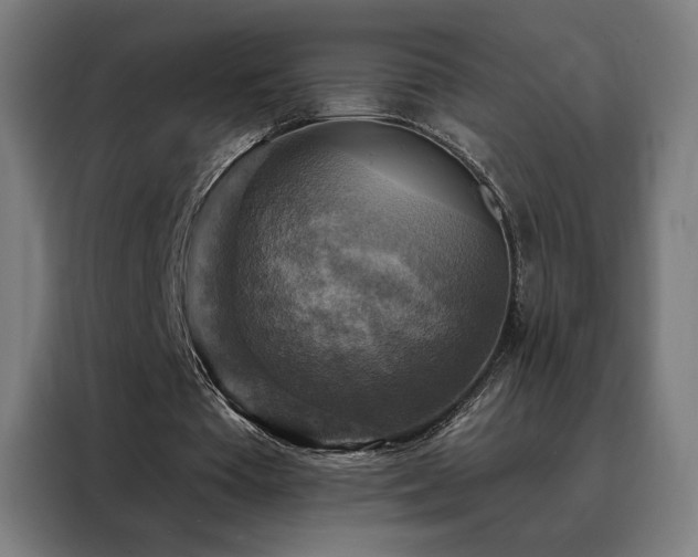 X0000088390385200705221119