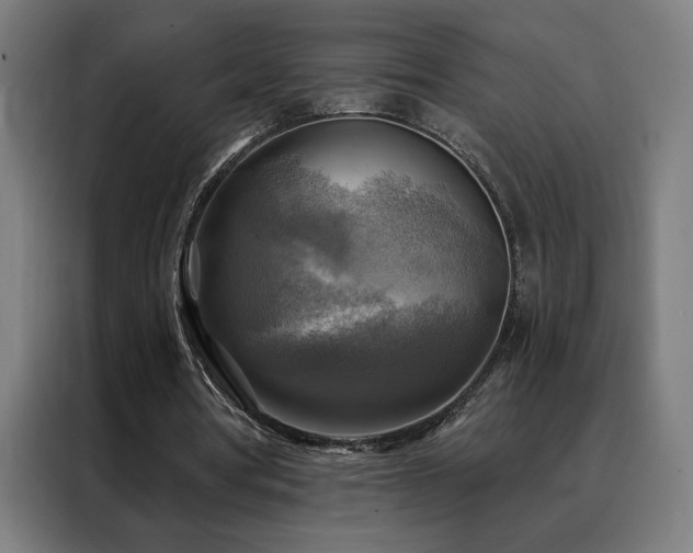 X0000088390386200705221119