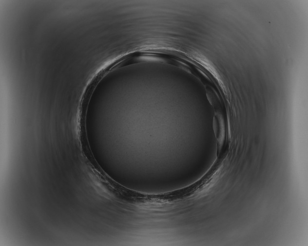 X0000088390387200705221119