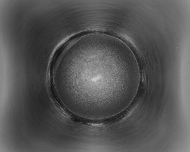 X0000088390388200705221119