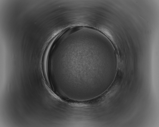 X0000088390389200705221119