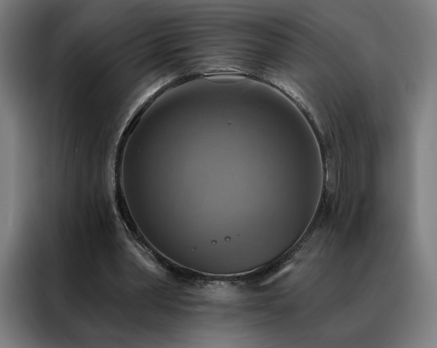 X0000088390390200705221119