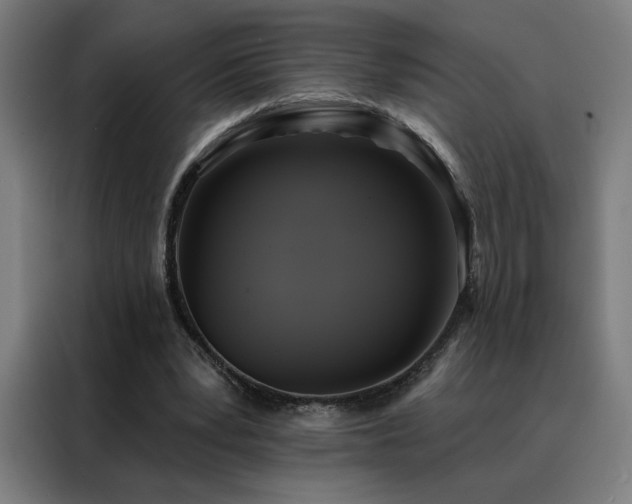 X0000088390391200705221119