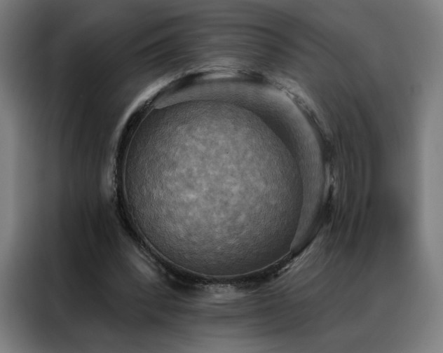 X0000088390392200705221119