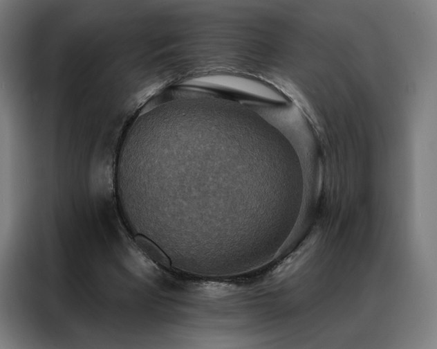 X0000088390393200705221119