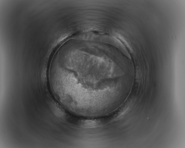 X0000088390394200705221119