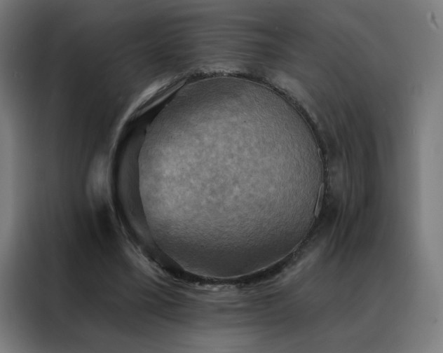 X0000088390395200705221119