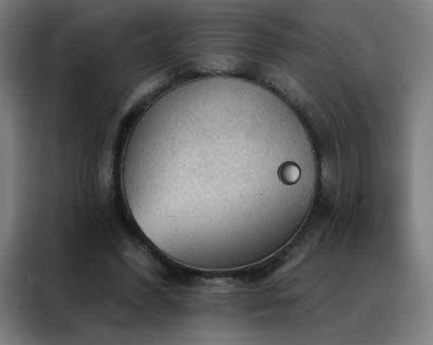 X0000088390396200705221118