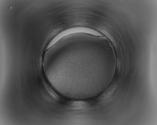 X0000088390397200705221118