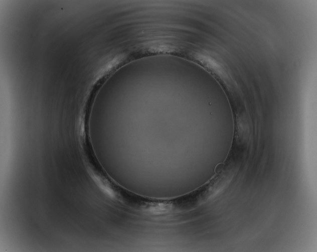 X0000088390398200705221118