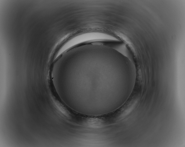 X0000088390399200705221118