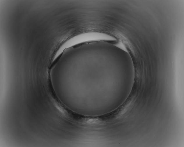 X0000088390401200705221118