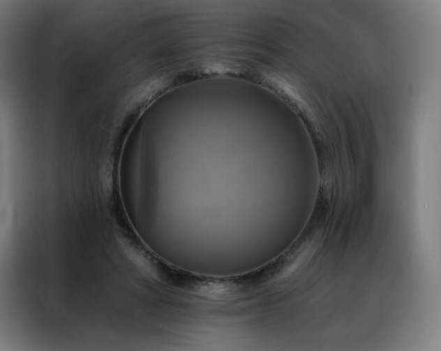 X0000088390402200705221118