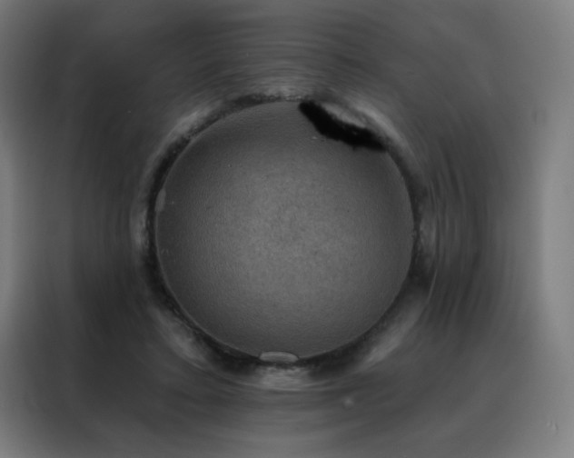 X0000088390403200705221118