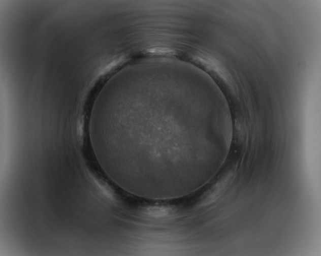 X0000088390404200705221118