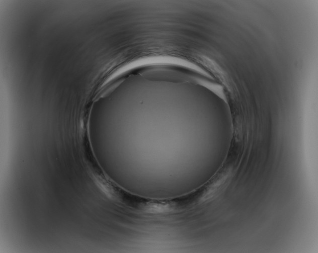 X0000088390405200705221118