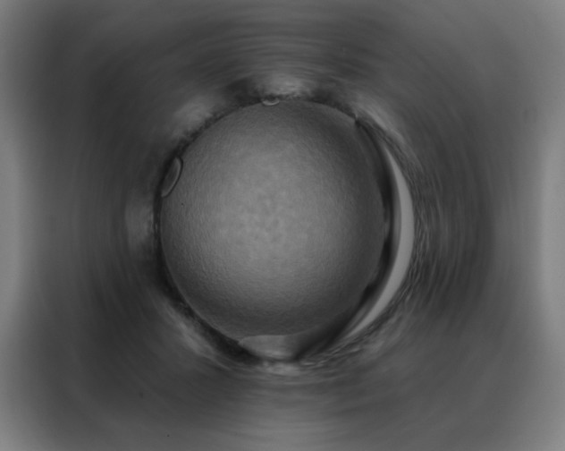 X0000088390407200705221118