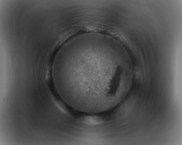 X0000088390408200705221118