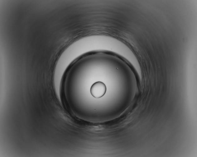 X0000088390411200705221118