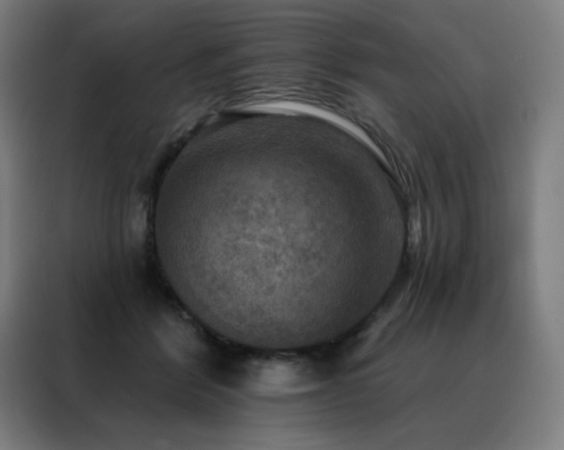 X0000088390412200705221118