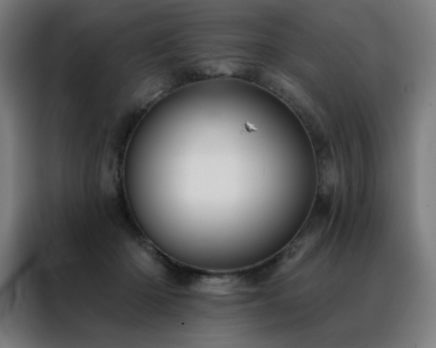 X0000088390414200705221118