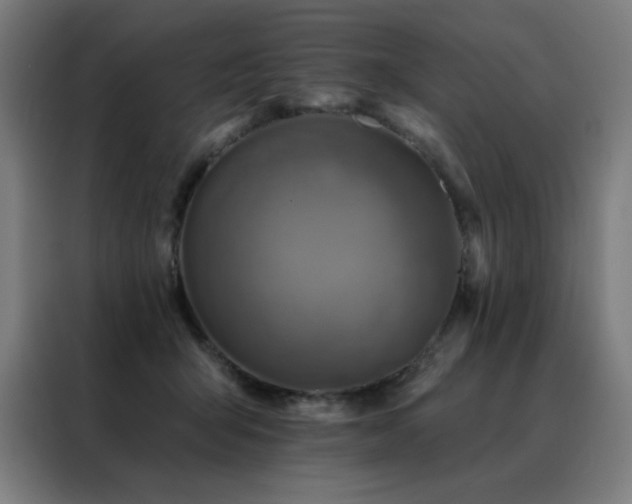 X0000088390415200705221118