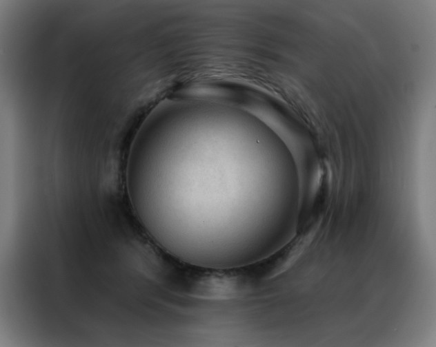 X0000088390416200705221118