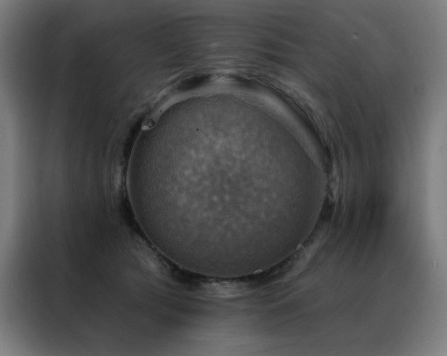 X0000088390417200705221118