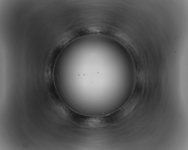 X0000088390418200705221118